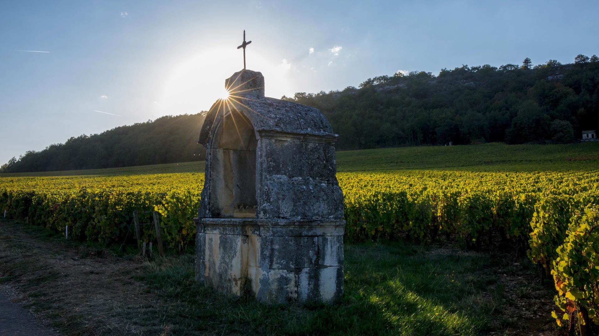 Les vignes de Bourgogne